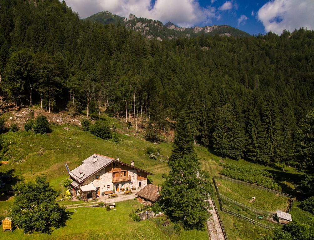 Agritur Manoncin Villa Daone Exterior foto