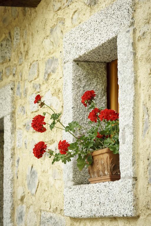 Agritur Manoncin Villa Daone Exterior foto