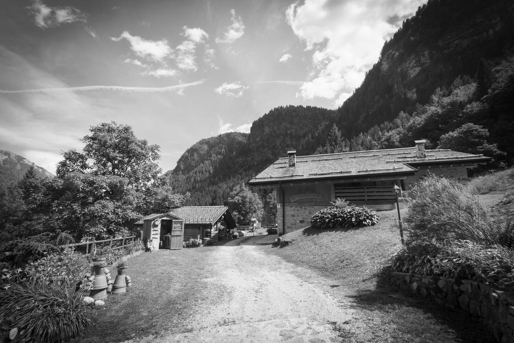 Agritur Manoncin Villa Daone Exterior foto